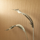 PAPEL PINTADO PAPERCRAFT PAPC89652424
