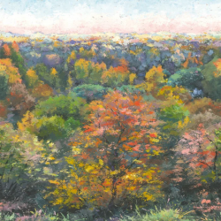 PANORAMICO 200x250cm  WDWS88973705 "ENVIO GRATIS"