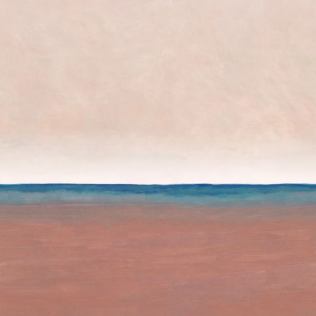 PANORAMICO 200x250cm WDWS88928205 "ENVIO GRATIS"