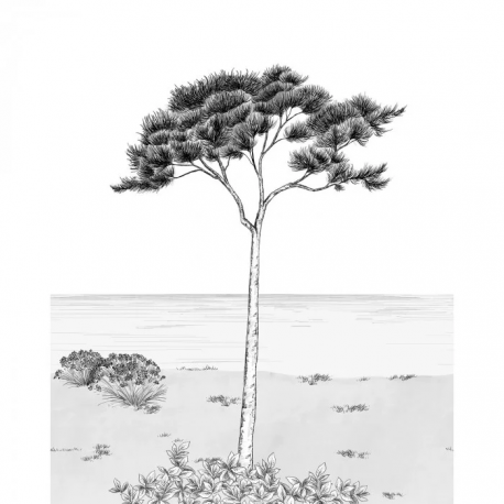 PANORAMICO 200x310cm WDWD200029104 "ENVIO GRATIS"