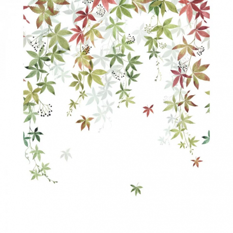PANORAMICO 200x250cm WDWD200067905 "ENVIO GRATIS"