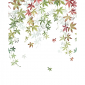 PANORAMICO 200x250cm WDWD200067905 "ENVIO GRATIS"