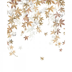 PANORAMICO 200x258cm WDWD200062303 "ENVIO GRATIS"