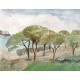 PANORAMICO 300x250cm WDWD200007507 "ENVIO GRATIS"
