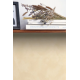 PAPEL PINTADO CLK106081050 "ENVIO GRATIS"