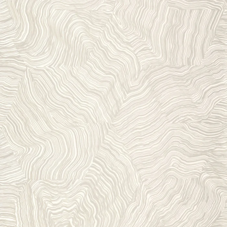 PAPEL PINTADO EXIR202021523 "ENVIO GRATIS"