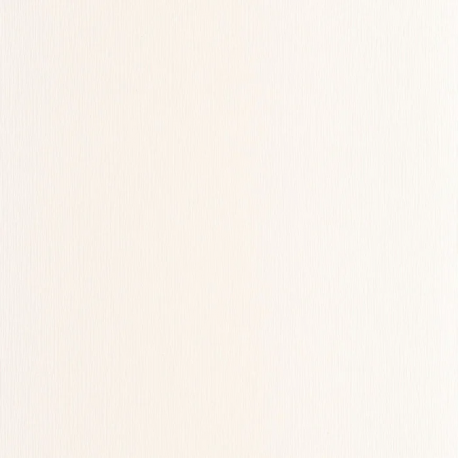 PAPEL PINTADO HANS202520370 "ENVIO GRATIS"