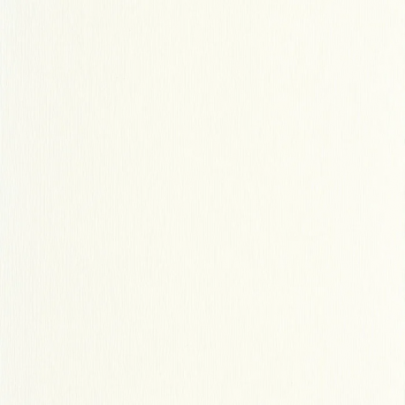 PAPEL PINTADO HANS202527000 "ENVIO GRATIS"