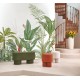 PANORAMICO 300x250cm WDWT202337307V "ENVIO GRATIS"