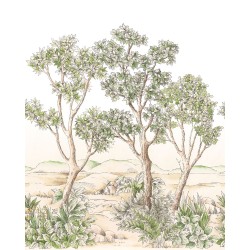PANORAMICO 200x280cm WDWT202217603NW "ENVIO GRATIS"