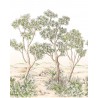 PANORAMICO 200x310cm WDWT202217604NW "ENVIO GRATIS"
