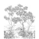 PANORAMICO 200x310cm WDWT202219004NW "ENVIO GRATIS"