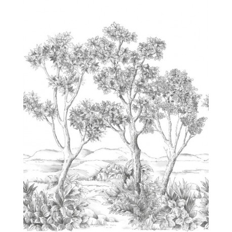 PANORAMICO 200x310cm WDWT202219004NW "ENVIO GRATIS"