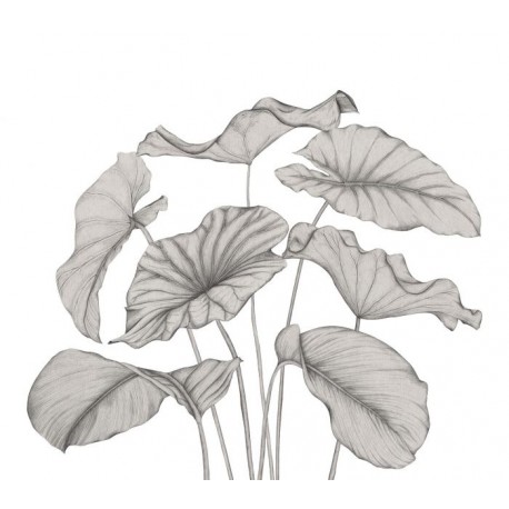 PANORAMICO 350x310cm WDWT202229342V "ENVIO GRATIS"
