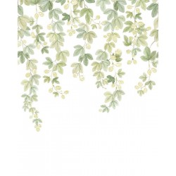 PANORAMICO 200x310cm WDWT202317804NW "ENVIO GRATIS"