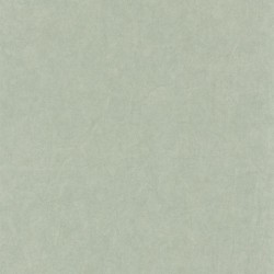 PAPEL PINTADO JARDIN SUSPENDUS JDSP84077227