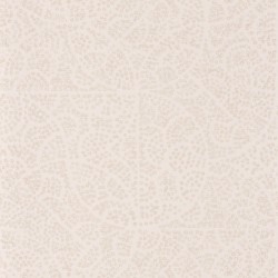 PAPEL PINTADO JARDIN SUSPENDUS JDSP85211205