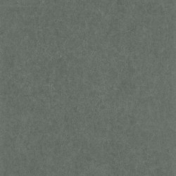 PAPEL PINTADO SO COLOR 5 COLR84077414