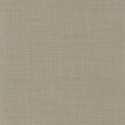 PAPEL PINTADO SO COLOR 5 COLR85477621 "ENVIO GRATIS"