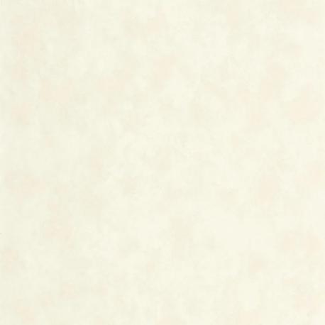 PAPEL PINTADO ECHAPPEE BELLE ECHA89851010
