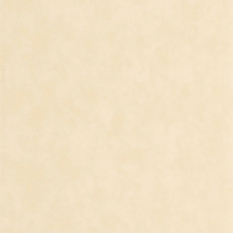 PAPEL PINTADO ECHAPPEE BELLE ECHA89851141