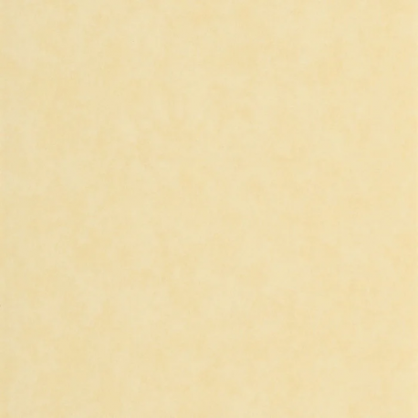 PAPEL PINTADO ECHAPPEE BELLE ECHA89852121