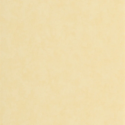 PAPEL PINTADO ECHAPPEE BELLE ECHA89852121
