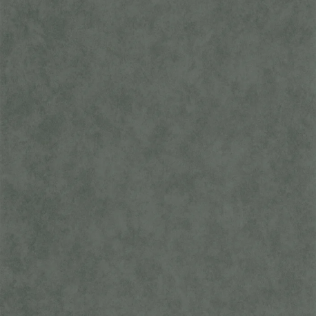 PAPEL PINTADO ECHAPPEE BELLE ECHA89857505