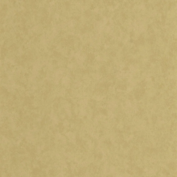 PAPEL PINTADO ECHAPPEE BELLE ECHA89857313
