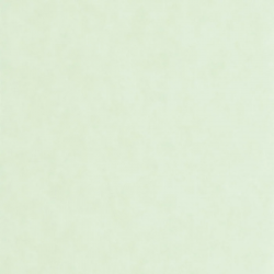PAPEL PINTADO ECHAPPEE BELLE ECHA89856111