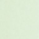 PAPEL PINTADO ECHAPPEE BELLE ECHA89856111