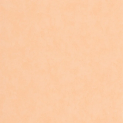 PAPEL PINTADO ECHAPPEE BELLE ECHA89853232