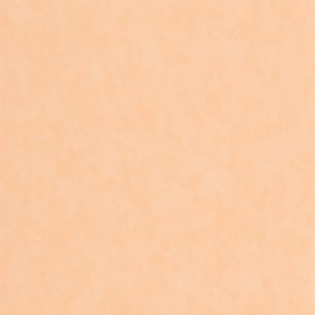 PAPEL PINTADO ECHAPPEE BELLE ECHA89853232