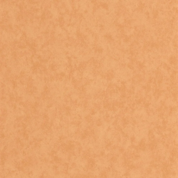 PAPEL PINTADO ECHAPPEE BELLE ECHA89853535