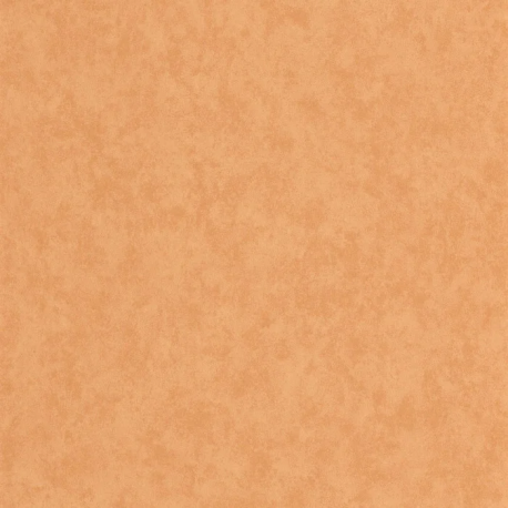 PAPEL PINTADO ECHAPPEE BELLE ECHA89853535