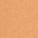 PAPEL PINTADO ECHAPPEE BELLE ECHA89853535