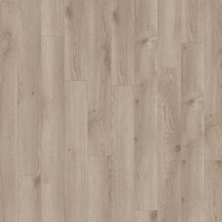 iD Inspiration Click Solid 55 - CONNTEMPORARY OAK GREGE 24617020