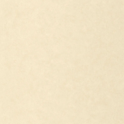 PAPEL PINTADO AZUR AZU105241110