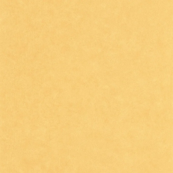 PAPEL PINTADO AZUR AZU105242570