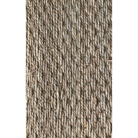 ALGA NATURAL FIYI