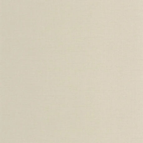 P. PINTADO CARN200560233 "ENVIO GRATIS"