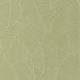 P. PINTADO BORN106507170 "ENVIO GRATIS"