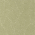 P. PINTADO BORN106507170 "ENVIO GRATIS"