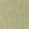 P. PINTADO BORN106507170 "ENVIO GRATIS"