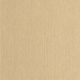 P. PINTADO BORN106011370 "ENVIO GRATIS"