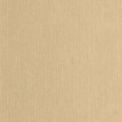 P. PINTADO BORN106011370 "ENVIO GRATIS"