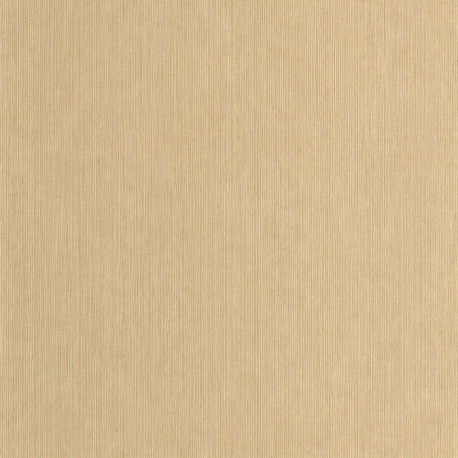 P. PINTADO BORN106011370 "ENVIO GRATIS"