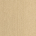P. PINTADO BORN106011370 "ENVIO GRATIS"