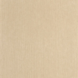P. PINTADO BORN106011245 "ENVIO GRATIS"