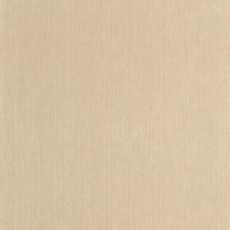 P. PINTADO BORN106011245 "ENVIO GRATIS"